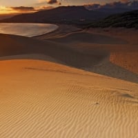 massive sandy beach at sunset