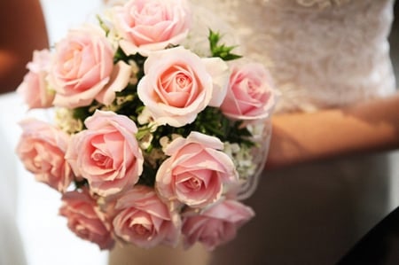 Bouquet of pink roses in bride - pastel, soft, beautiful, bouquet, bride, pink roses