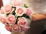 Bouquet of pink roses in bride