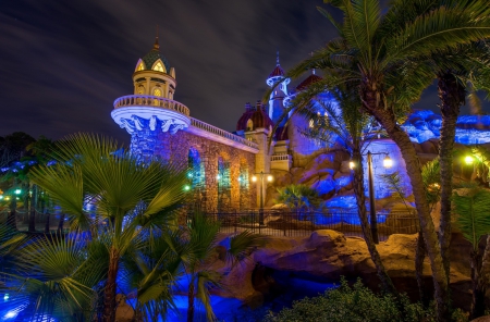 Magic Kingdom - Disneyland - disneyland, palms, kingdom, magic