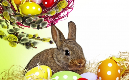 * HAPPY EASTER * - easter, animals, bunnies, happy