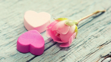 Love - hearts, leaves, pink, wood