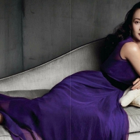 Zhang Ziyi gorgeous brunette Hollywood girl