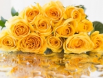 * YELLOW ROSES *