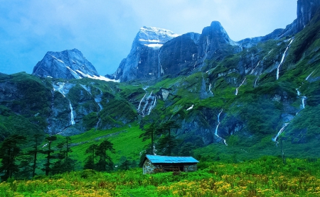 Beautiful Valley On The Mountains - flowers, Himalayas, trees, Nepal, snowy peaks, grass, hut