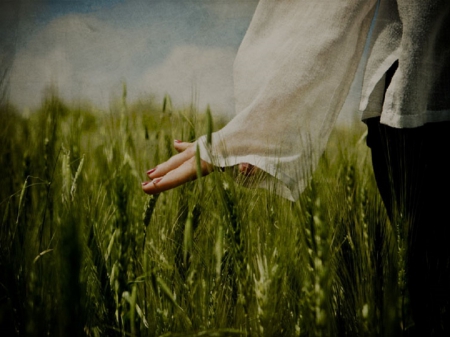 Like A Whisper - clouds, hand, grass, field, sky