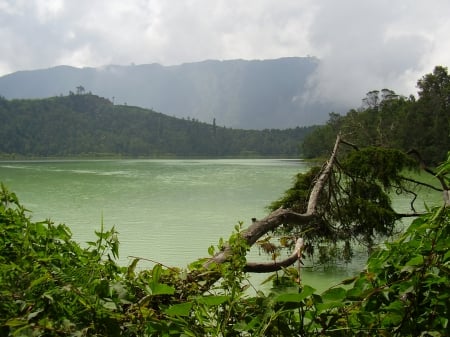 Telaga Warna Lake In Indonesia - Telaga Warna in Dieng Plateu, Position in Banjarnegara Central Java Indonesia, Water mix sulfur, Have green water