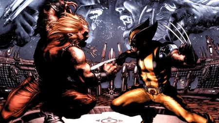 Wolverine - xmen, sabretooth, mutant, Wolverine