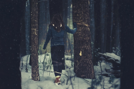 Walk into the woods - mood, forest, Walk, model