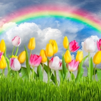 Spring background