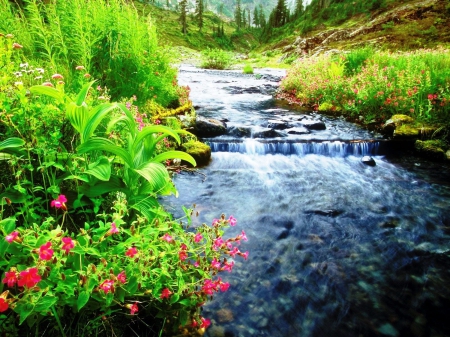 Beautiful Waterfalls - landscape, mountain, water, waterfalls, flowers, rocks