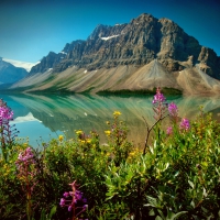 Bow Lake- Banff National Park