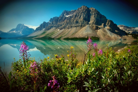 Bow Lake- Banff National Park - alberta, lake, bow, banff, park, canada, national