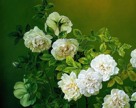 Jose Escofet-White Roses-Image - white, image, jose escofet, roses