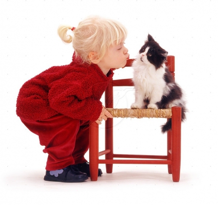 kissing a kitty - kissing, animals, cats, kitty, little girl