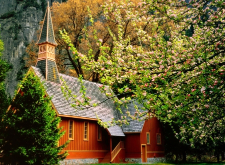 Spring in Yosemite - national park, blossoms, chapel, beautiful, spring, church, blooming, mountain, tree, flowering, yosemite, cottage, rocks