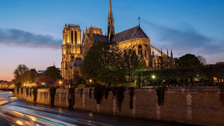 notre dame cathedral in paris - bank, river, wall, city, cathedral, dusk, lights