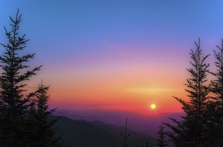 Sunset - hills, landscape, firs, sun, sky