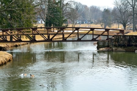 Serene Park Scene - walk in the park, serene park scene, peaceful park, relaxing park, park, serenity