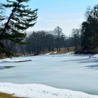 Frozen Winter Pond