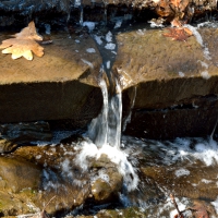 Flowing Nature