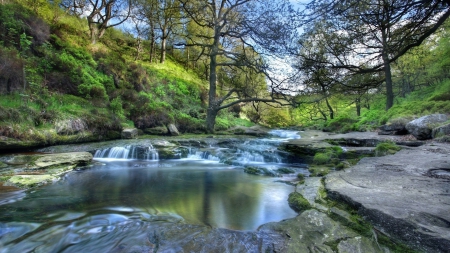 lovely river in the peak district in england - hill, flowing, forest, river, rocks