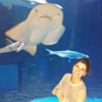 Shania Twain shark aquarium Mandalay Bay Las Vegas