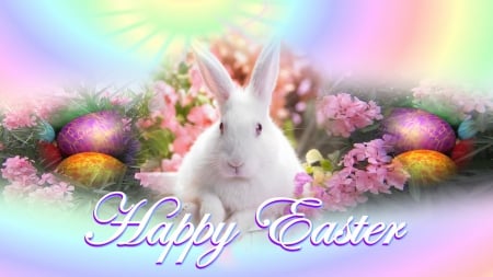 Easter - candy, happy easter, flowers, bunny