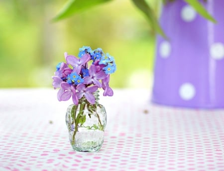 With Love - with love, nature, spring time, flowers, still life, forget me not