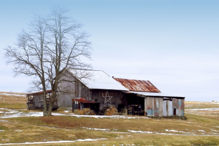 Place For Warmth - architecture, shelter, field, barn, nature, country, grass