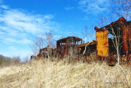 Rusty Old Train in the Field - locomotive, nostalgic, travel, architecture, train, archicture, transportation, field, rusty, country