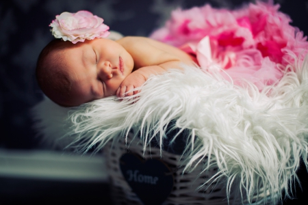 Sweet Dreams - love, adorable, pure love, child, babies, baby, sweet, cute, newborn