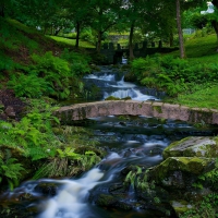 rock bridge over stream