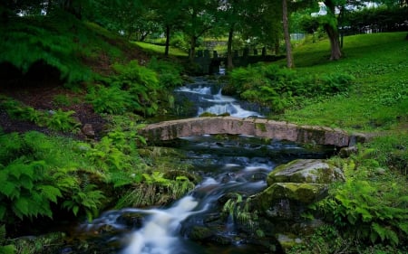 rock bridge over stream - stream, rocks, bridges, trees, grass