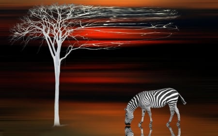 Abstract - white, zebra, abstract, e tree, animal, black, orang