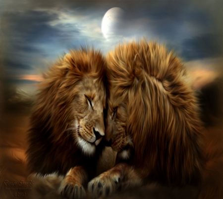 Friends - lion, nature, wild, cat