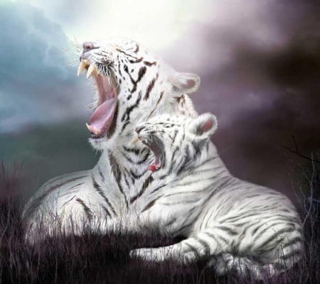 Awesome Tiger - white, cats, wild, tiger