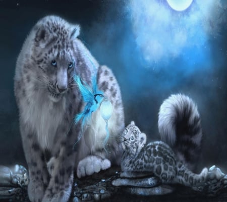 Snow Leopard - leopard, lion, cat, blue