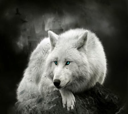 Awesome Wolf - dog, nature, wolf, wild