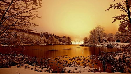 Wintertime - lake, sunlight, bush, snow, water, tree, sunset