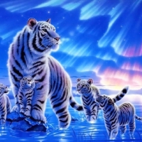 Tigers