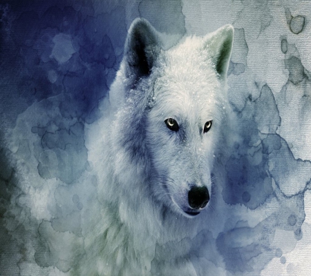 Winter Wolf - white, winter, wolf, dog