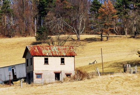 Look At His Happy Smile for Spring! - fall, natue, barn, spring, field, farm, architecture