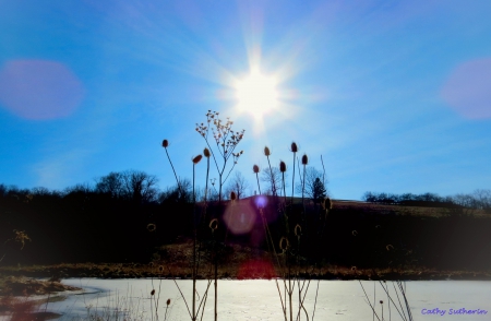 Country Evening On The Pond - water, pond, spring, grass, sunset, nature, lake, country, sun, sky