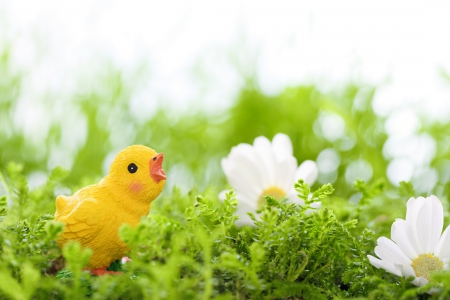 Spring - nature, bokeh, easter, happy easter, flowers, grass, spring