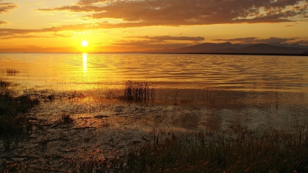 wonderful sunset - horizon, sunset, shore, grass, bay