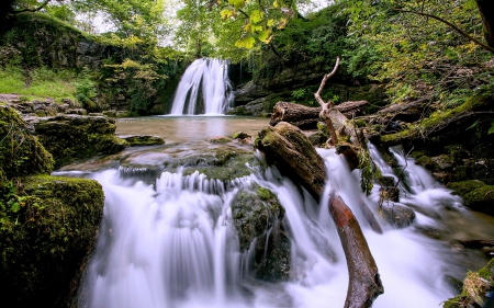 Forest Waterfall