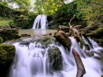 Forest Waterfall