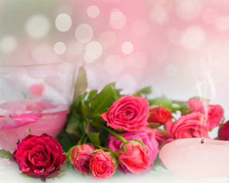 Beautiful roses - bokeh, flowers, petals, rose