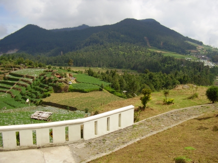 Dieng Plateau Central Java - This place have temperature 15 celcius, Dieng Plateau located in Wonosobo Central Java, Distance from Wonosobo City is 30 KM, In This Place there is special fruit the name is Carica